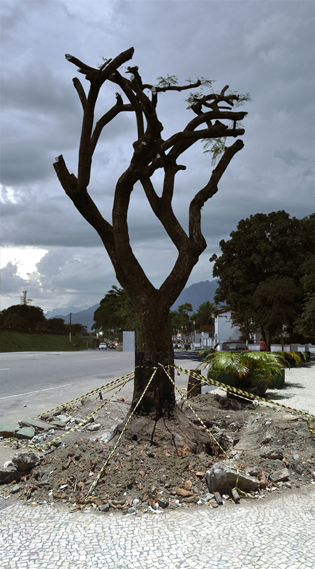 There Is Dirt Underneath the Dirt An Interview with André Griffo